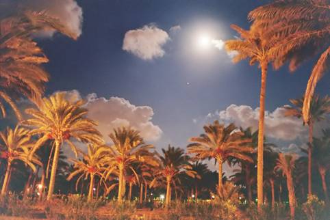 Mars, Moon and Red Date - by: Aymen Ibrahem (Canon 28mm, F2.8, 3 second exposure, Kodak Ultra 400)