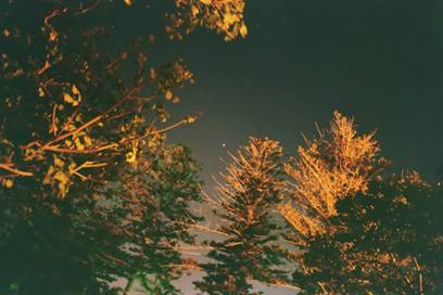 Red Planet and Golden Trees - by: Aymen Ibrahem (Canon 28mm, F2.8, 5 second exposure, Kodak Ultra 400)