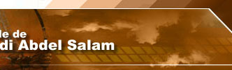 Le monde de Shadi Abdel Salam
