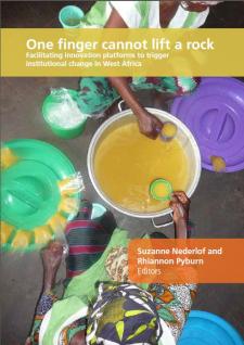 Facilitating innovation for institutional change