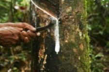 Using natural rubber - (c) European Communities
