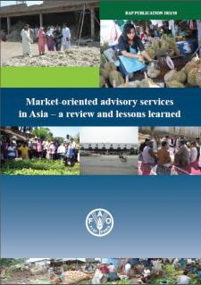 FAO_2011_market-oriented