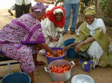 Floris van der Pol / KIT (women with tomatoes)