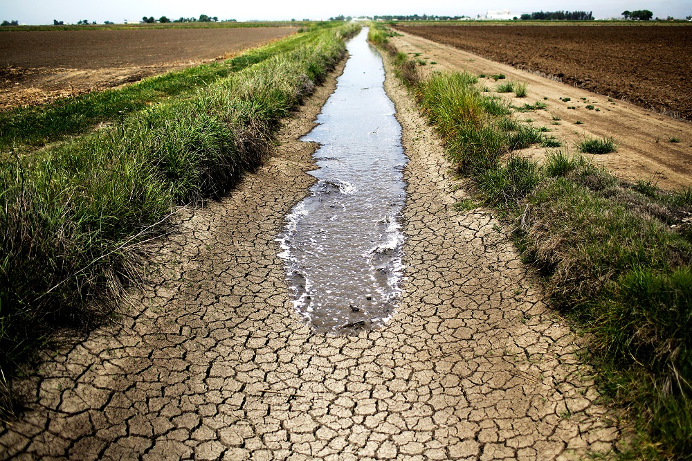 مجلة كوكب العلم - غزو الجفاف