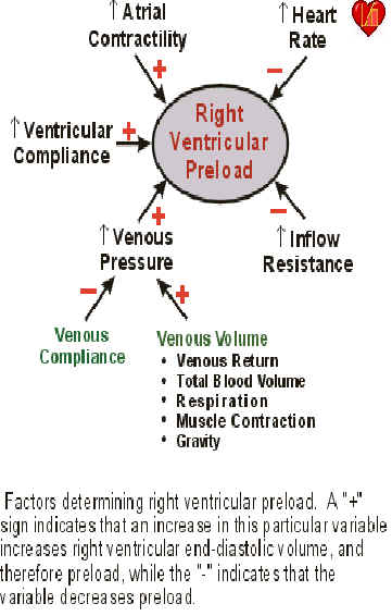 wpe6.jpg (29729 bytes)