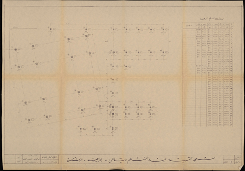 Abd El Menem Riyad (8).jpg