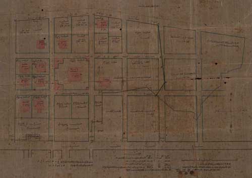 genenat bab shark (1).jpg