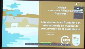 L'intervention de M. Arsène Alain Sanon, Coordinateur régional du programme PAPBio à l’UICN PACO