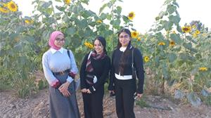 Les laur&eacute;ats de Festival international du film du Fayoum _2<sup>e</sup> &eacute;dition