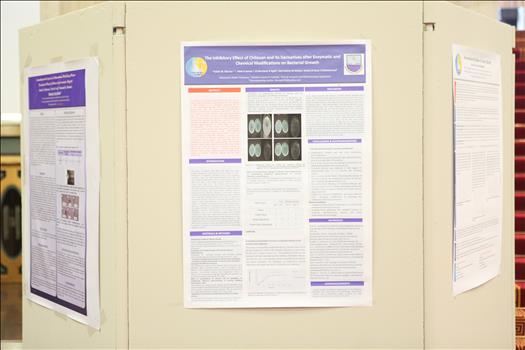 Poster session during Water and Sanitation in Africa and the Middle East Conference.