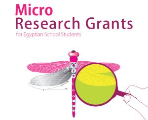 Micro Research Grants