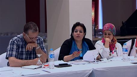 Building Perceptions and Developing Capacities in the Egyptian Cultural Fields - The 4th Workshop (Sharm el-Sheikh)
