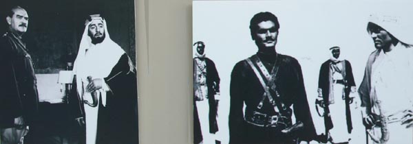 Cinema Programs 