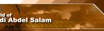Shadi Abdel Salam Exhibition Banner