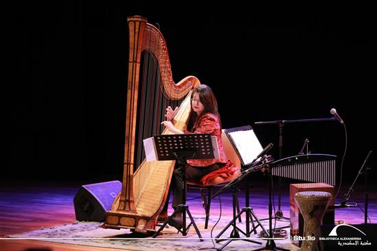 Harp Mood - 24 February 2024
