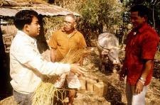 An extension officer explains the advantages of rice straw treatment for feeding cattle. Source: FAO. Photo: H. Wagner