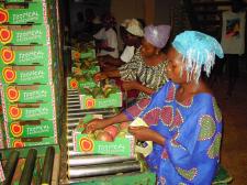 Sustainable procurement from developing countries (KIT Bulletin 385)
