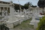 The Cemeteries of Alexandria: The Untold Narratives of a Cosmopolitan City