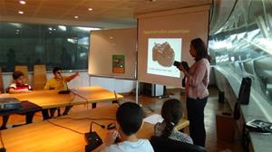 Atelier professionnel (Parlons ensemble en Français): « À la découverte des musées de la BA » 