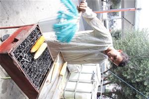 Festival des métiers égyptiens 