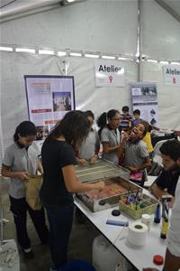 Atelier de reliure et des feuilles marbrées 