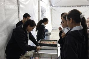 Les ateliers du festival