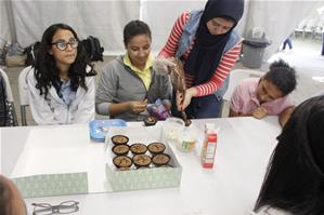 Les ateliers du festival