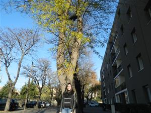  Au collège Grande Bastide pour un échange autour du thème d’ouverture culturelle de l’établissement et des élèves