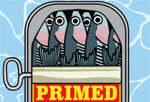 PriMed, le festival de la méditérranée en image