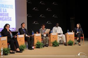  La première séance : La Francophonie : genèse et évolution