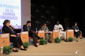  La première séance : La Francophonie : genèse et évolution