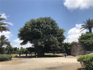 Les participants du 1er groupe aux jardins de Shallalat