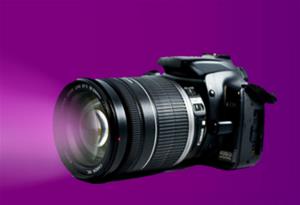 À la découverte des musées et des jardins alexandrins