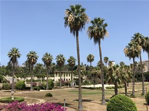 Aux jardins d’Antoniades