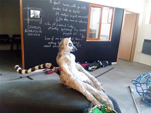 <sup>7e</sup> Forum International des Caravanes des dix mots