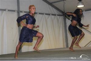 Festival des métiers des pays Francophones-5e édition