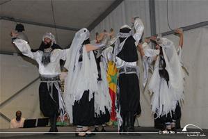 Festival des métiers des pays Francophones-5e édition