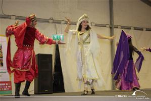 Festival des métiers des pays Francophones-5e édition