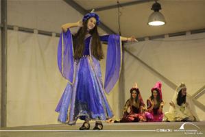 Festival des métiers des pays Francophones-5e édition