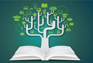 Les cimetières provinciaux du Nouvel Empire dans le delta