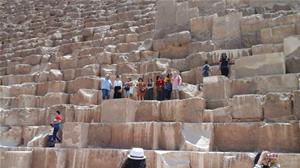 IFLA Division V at The Pyramids