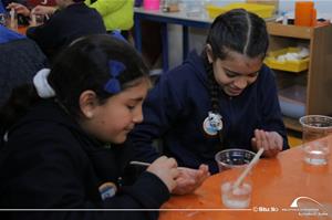 Les participants de l'atelier