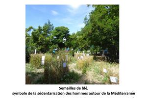 Atelier « Comment développer la citoyenneté en Méditerranée »