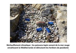 Atelier « Comment développer la citoyenneté en Méditerranée »