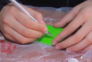  Les participants du 1<sup>er </sup>groupe de l'atelier  