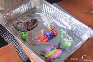 Les produits des participants