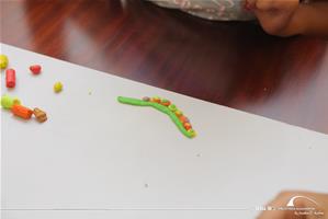 Les travaux des participants du 1<sup>er</sup> groupe