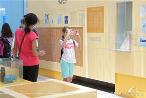  Les participants au musée des Sciences