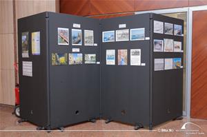 L'exposition du concours "Les visages d’Alexandrie : hier, aujourd’hui et demain"