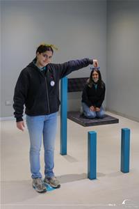 Les participants au Musée de l'Illusion